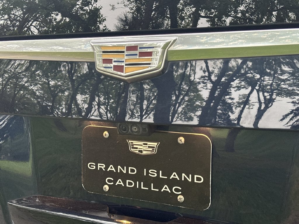 2019 Cadillac Escalade Platinum Edition