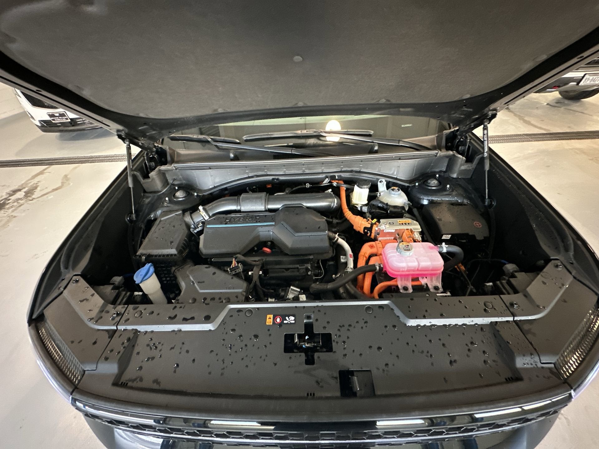 2025 Hyundai SANTA FE HYBRID Calligraphy