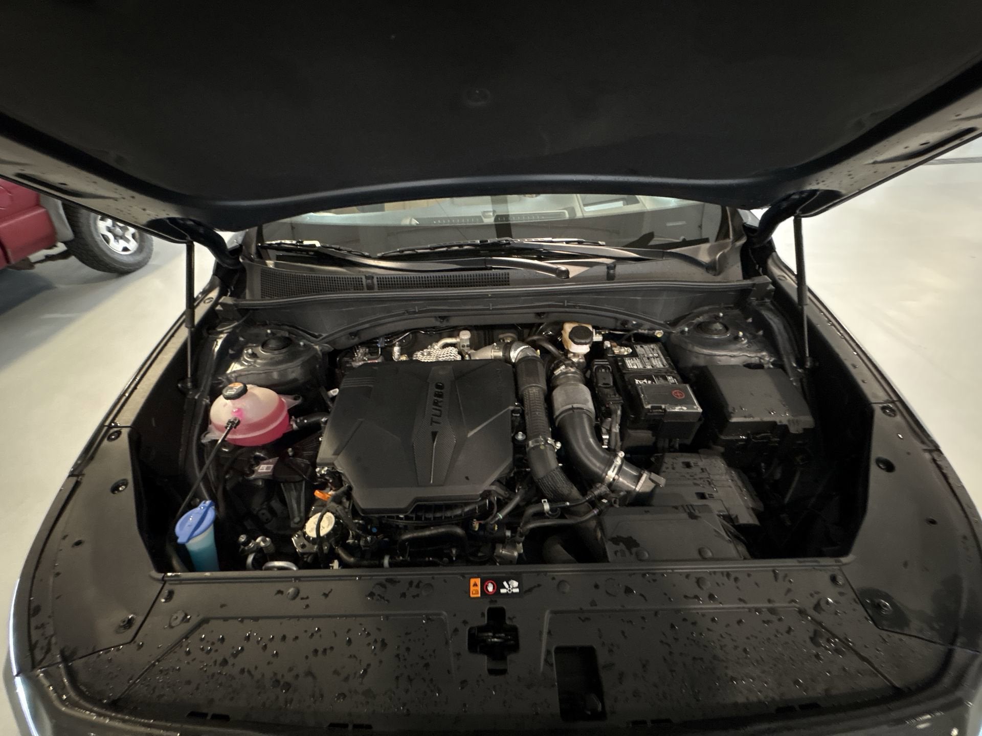 2023 Hyundai SANTA FE Calligraphy