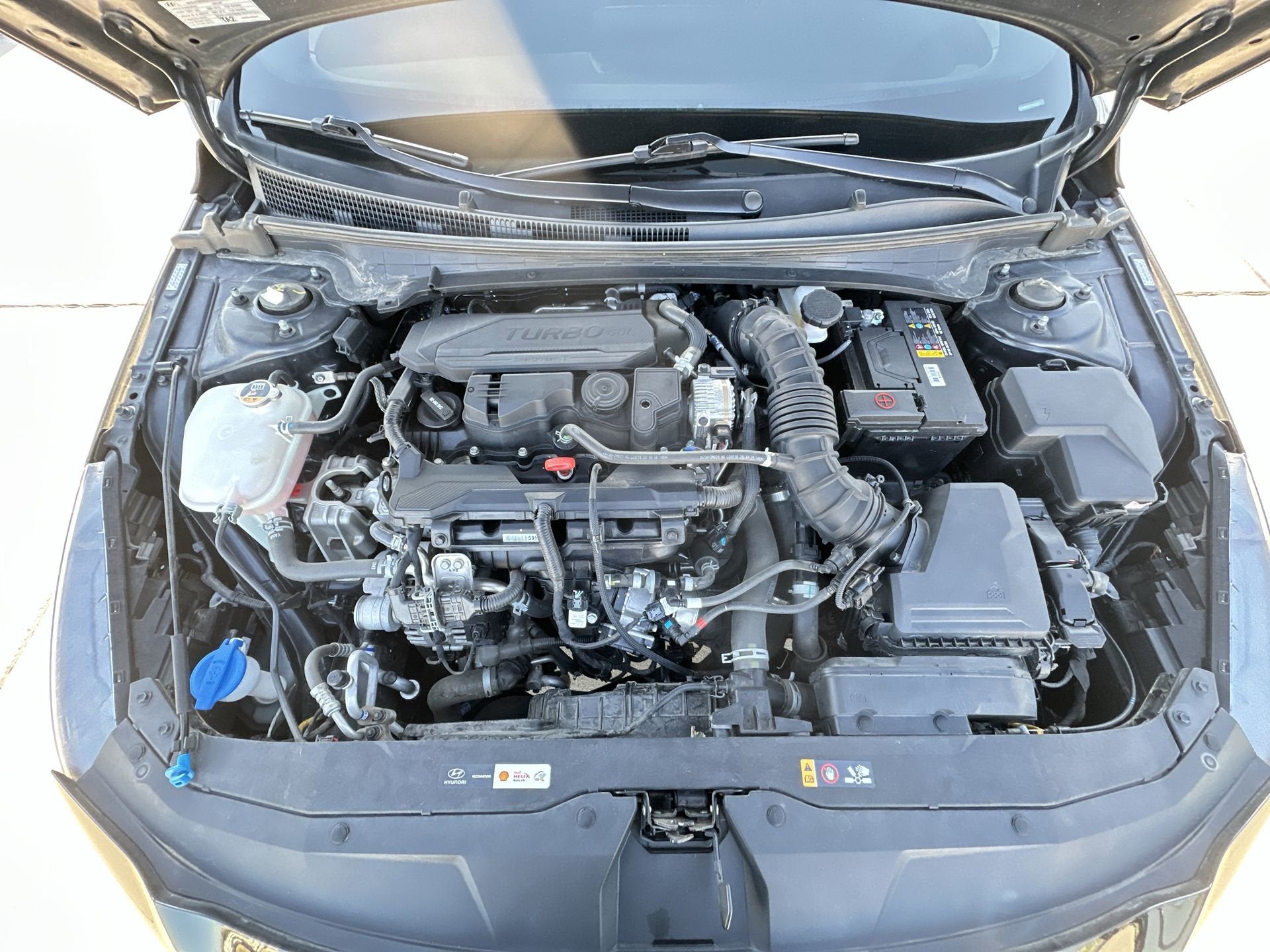 2023 Hyundai ELANTRA N Line